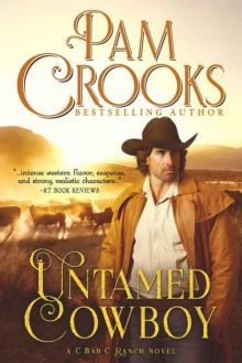 Untamed Cowboy (C Bar C Ranch Book 1)