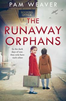 The Runaway Orphans The Runaway Orphans