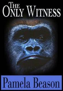 The Only Witness The Only Witness