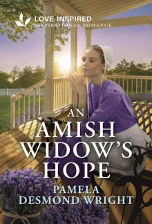 An Amish Widow's Hope