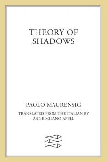 Theory of Shadows