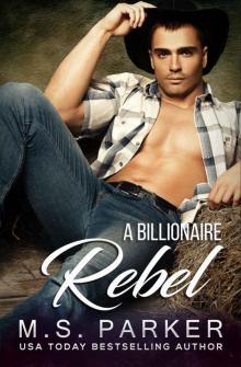 A Billionaire Rebel: The Holden Brothers 2