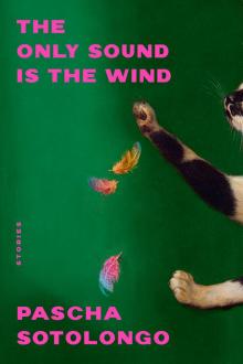 The Only Sound Is the Wind