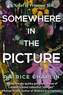 Somewhere in the Picture: A novel of Primrose Hill