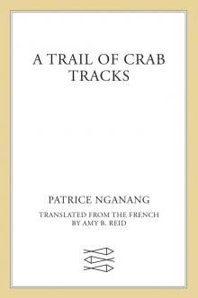 A Trail of Crab Tracks