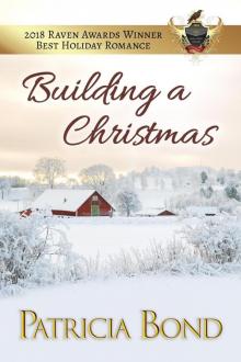 Building a Christmas