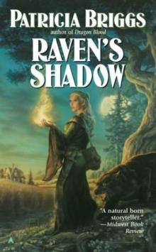 Raven's Shadow rd-1