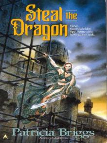 Steal the Dragon