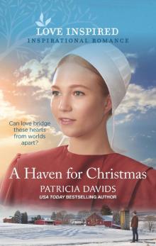 A Haven for Christmas