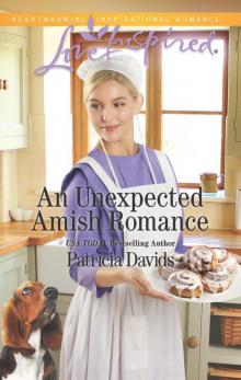 An Unexpected Amish Romance An Unexpected Amish Romance