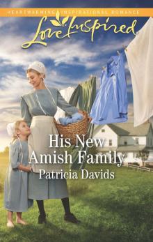 His New Amish Family His New Amish Family