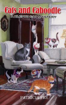 Cats and Caboodle Cats and Caboodle
