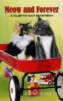 Meow and Forever Meow and Forever