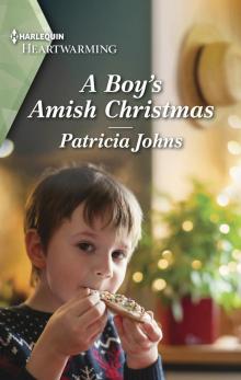 A Boy's Amish Christmas