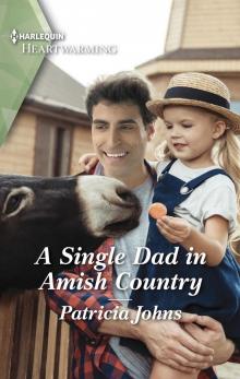 A Single Dad in Amish Country A Single Dad in Amish Country