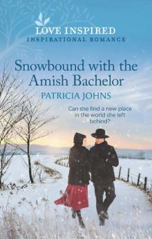 Snowbound with the Amish Bachelor