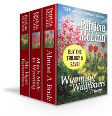 Wyoming Wildflowers Trilogy Boxed Set (3 Books in 1)