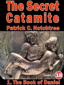 The Secret Catamite Bk 1, The Book of Daniel