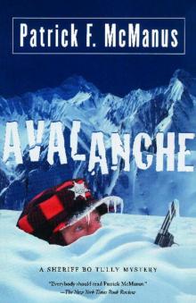 Avalanche: A Sheriff Bo Tully Mystery (Sheriff Bo Tully Mysteries)