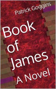 Book of James: a novel