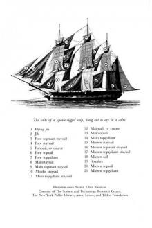 Book 3 - H.M.S. Surprise