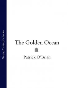 The Golden Ocean