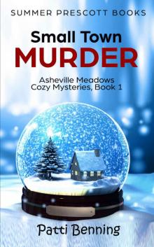 Small Town Murder