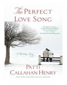The Perfect Love Song The Perfect Love Song
