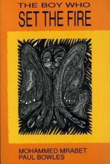 The Boy Who The Set Fire and Other Stories