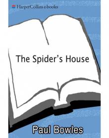 The Spider's House