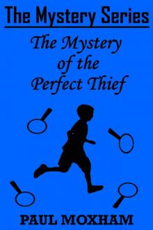 The Mystery of the Perfect Thief (The Mystery Series Short Story Book 11)