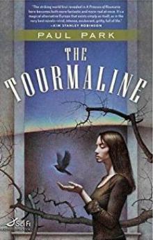 The Tourmaline (A Princess of Roumania)