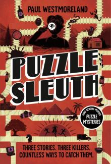 Puzzle Sleuth