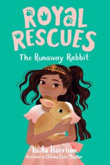 The Runaway Rabbit