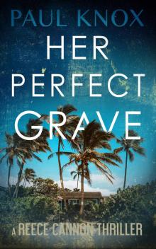 Her Perfect Grave: A completely addictive mystery thriller full of action and adventure (A Reece Cannon Thriller Book 6) Her Perfect Grave: A completely addictive mystery thriller full of action and adventure (A Reece Cannon Thriller Book 6)