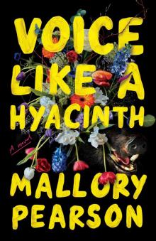 Voice Like a Hyacinth: A Novel Voice Like a Hyacinth: A Novel