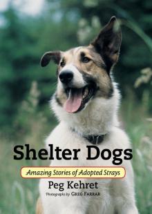 Shelter Dogs Shelter Dogs