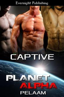 Captive Captive
