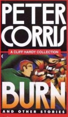 Burn and Other Stories ch-16