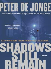 Shadows Still Remain