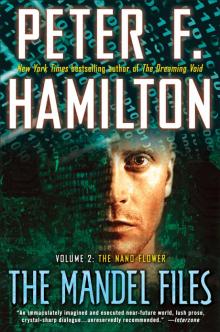 The Mandel Files, Volume 2: The Nano Flower The Mandel Files, Volume 2: The Nano Flower