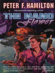 The Nano Flower The Nano Flower