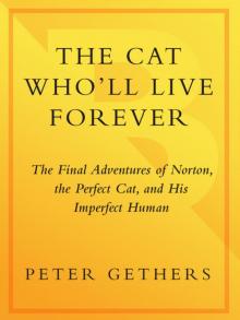 The Cat Who'll Live Forever The Cat Who'll Live Forever