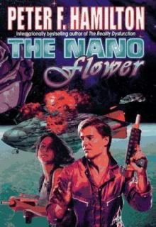 The Nano Flower gm-3