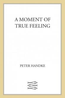 Moment of True Feeling