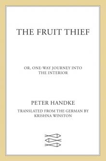 The Fruit Thief The Fruit Thief