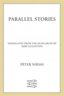 Parallel Stories: A Novel