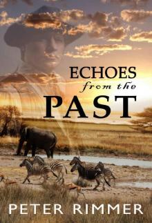 Echoes from the Past (The Brigandshaw Chronicles Book 1)