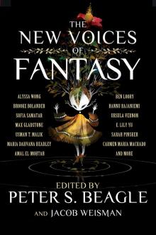The New Voices of Fantasy The New Voices of Fantasy