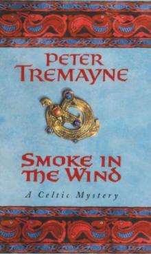 Sister Fidelma 11 - Smoke in the Wind
